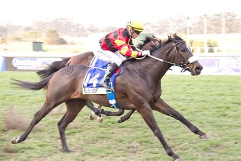kenilworth results|Kenilworth Race Results .